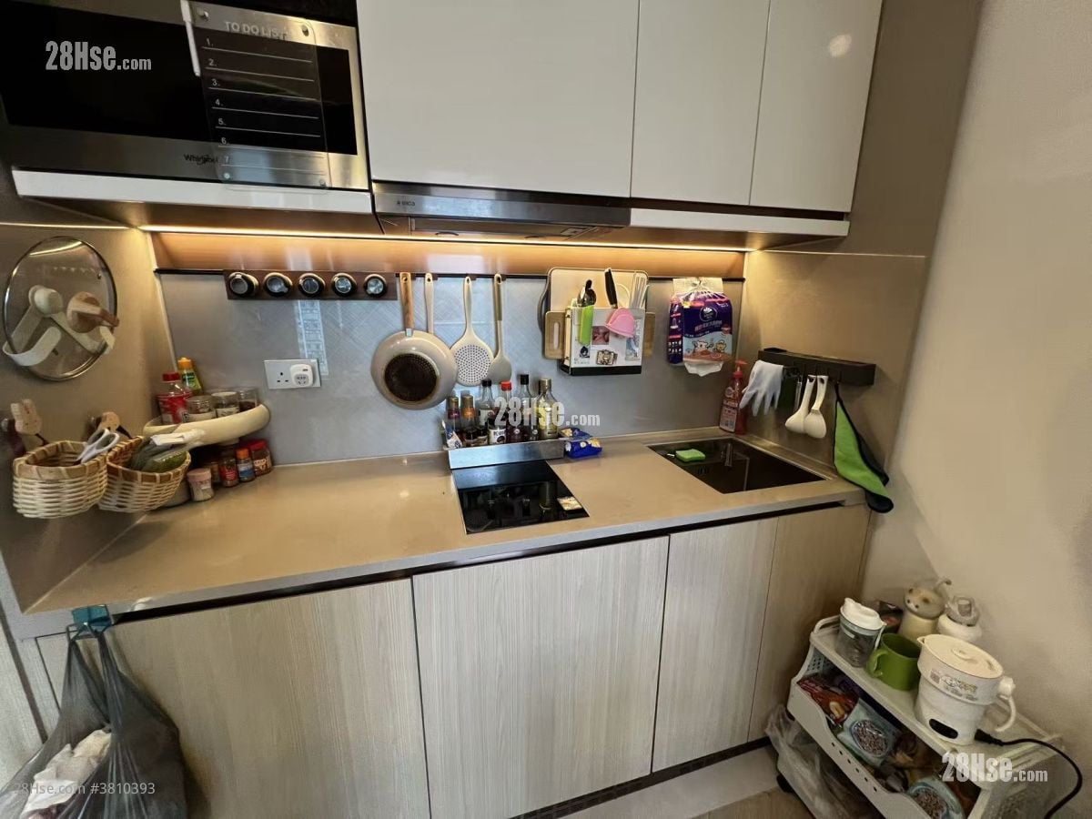 Manor Hill Rental Studio , 1 Bathroom 222 ft²