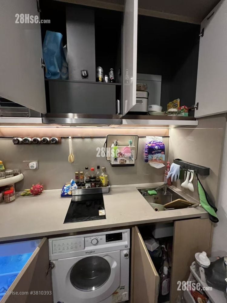 Manor Hill Rental Studio , 1 Bathroom 222 ft²