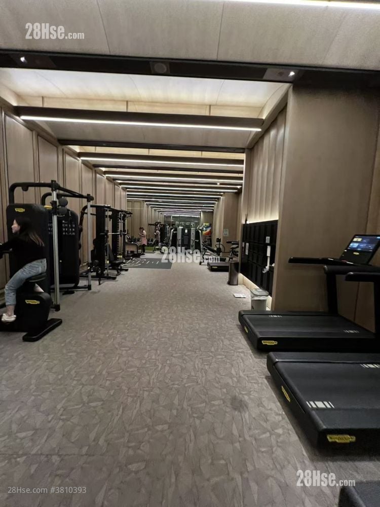 Manor Hill Rental Studio , 1 Bathroom 222 ft²