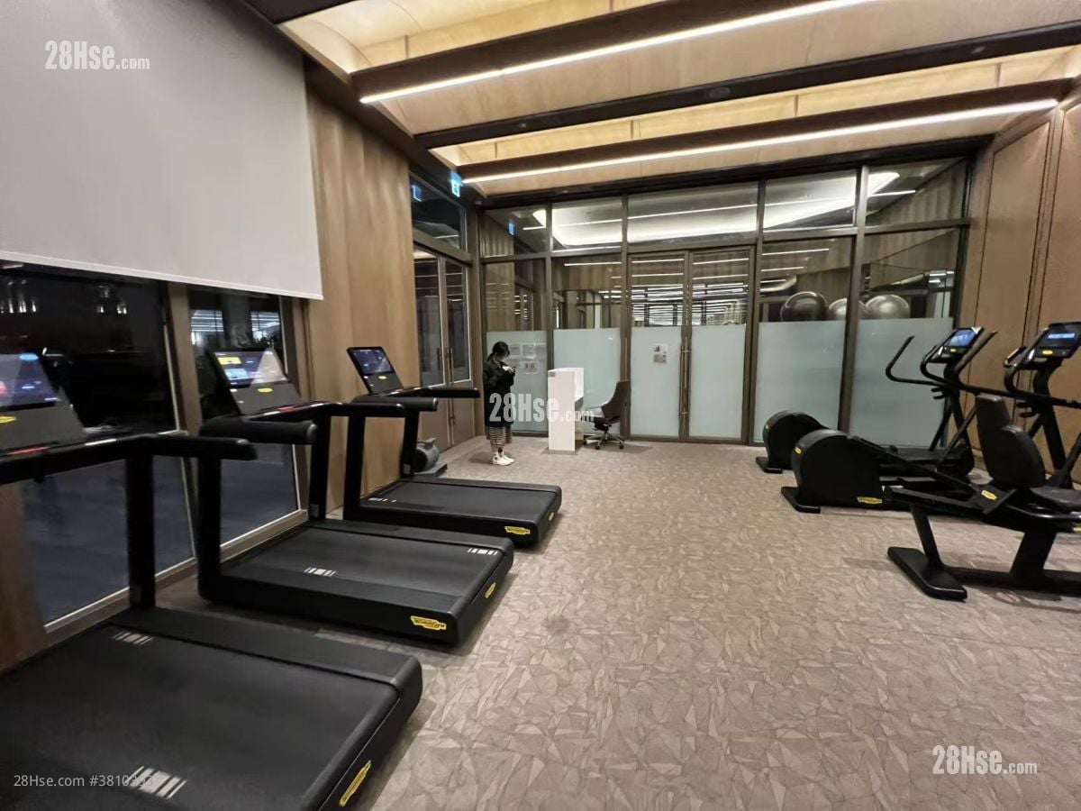 Manor Hill Rental Studio , 1 Bathroom 222 ft²