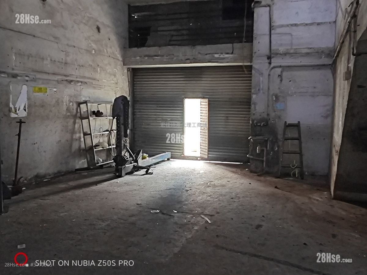 International Plaza Rental