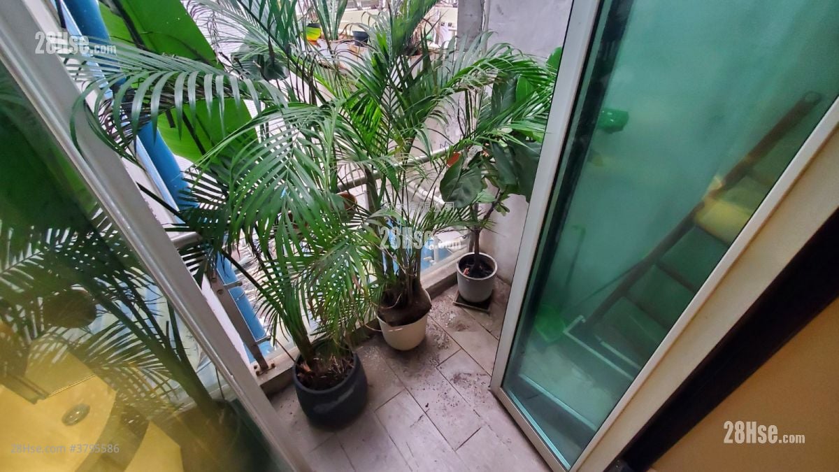 华里4-5号 租盘 1 房 , 1 浴室 368 平方尺