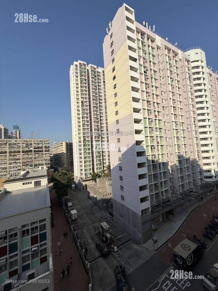 黄埔新村 售盘 2 房 , 1 浴室 374 平方尺