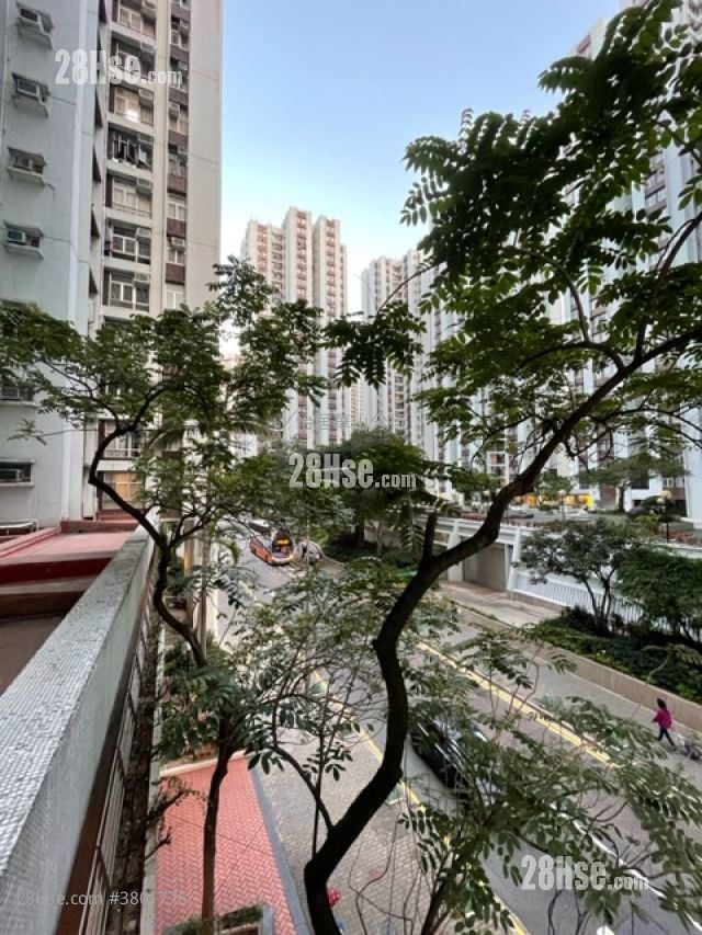 太古城 租盘 502 平方尺