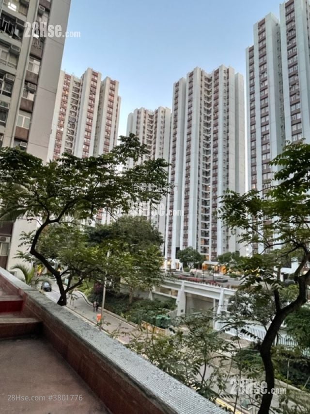 太古城 租盘 502 平方尺