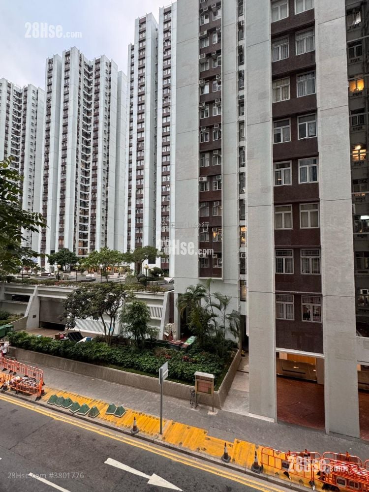 太古城 租盘 502 平方尺