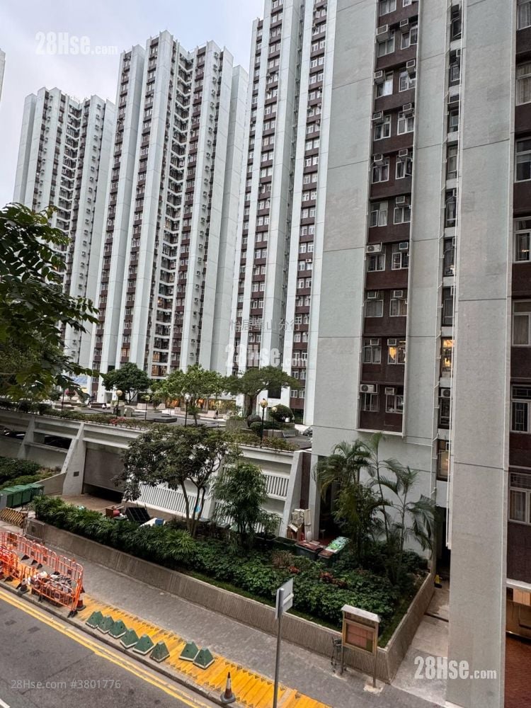 太古城 租盘 502 平方尺