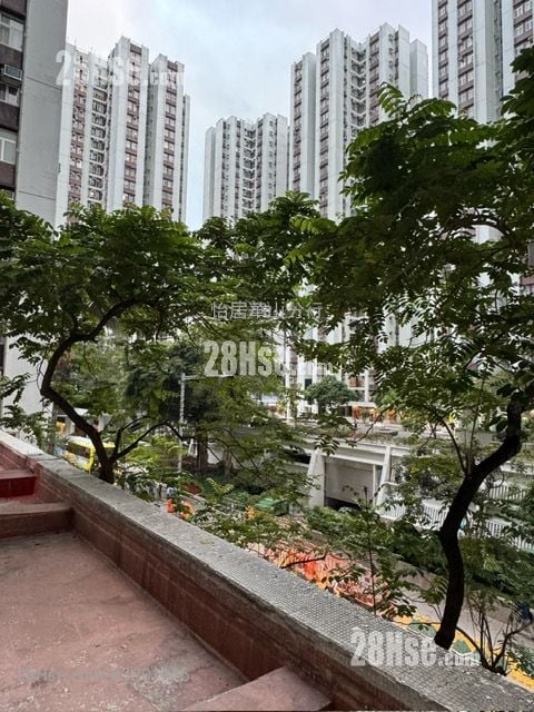 太古城 租盘 502 平方尺