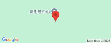 Wong Mo Ying The Whole Building Address