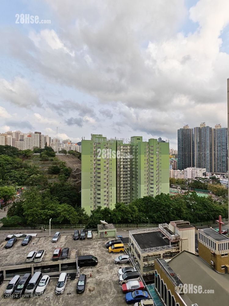 Connie Towers Rental 2 Bedrooms , 1 Bathroom 451 ft²