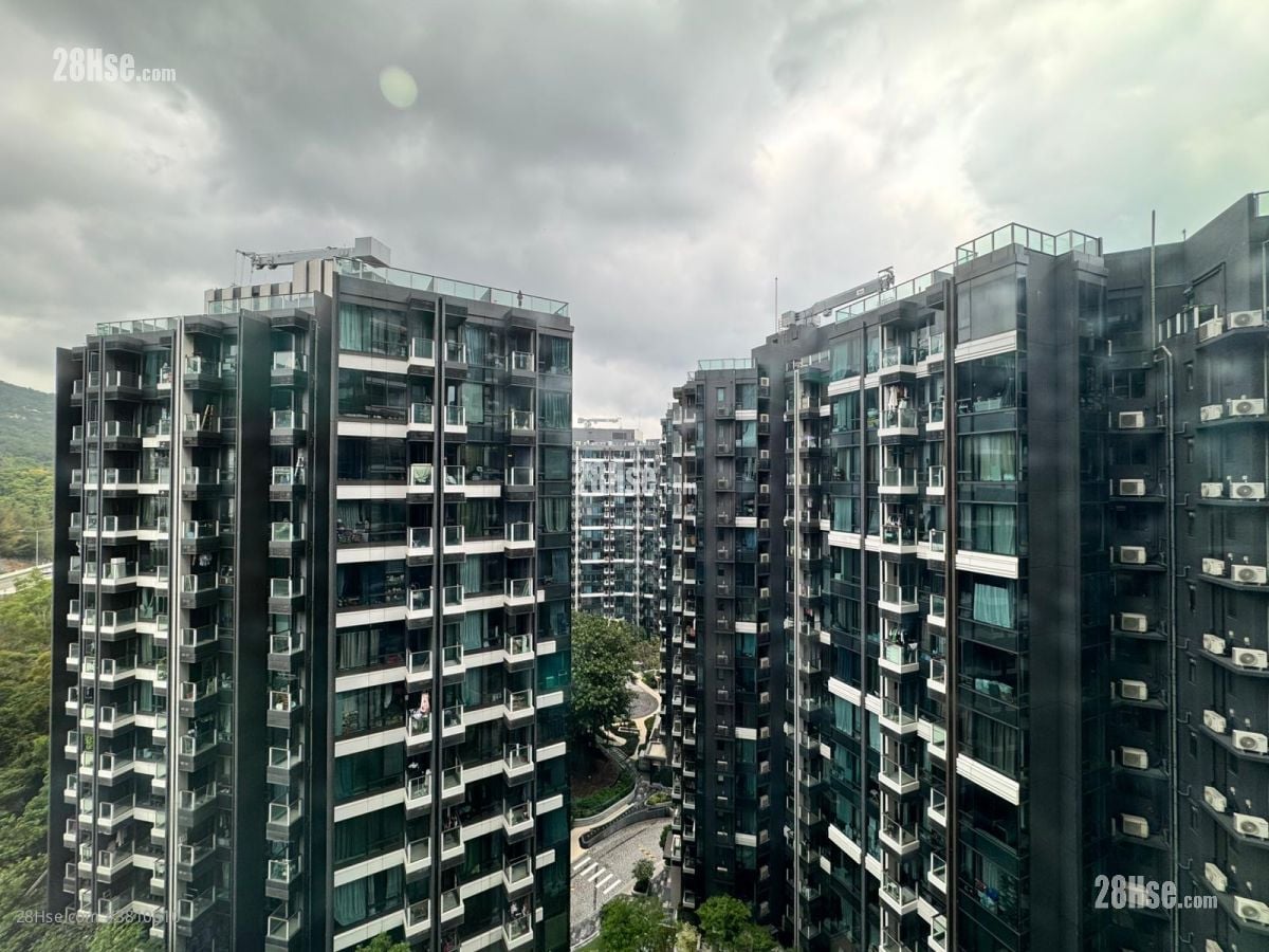 黃金海灣 租盤 1 房 , 1 浴室 317 平方呎