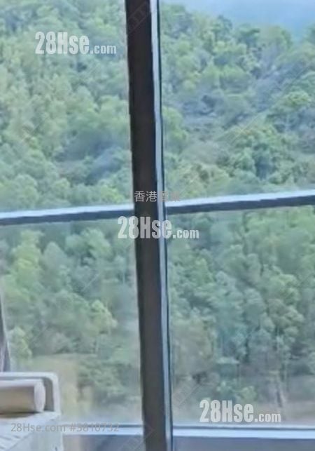 Manor Hill Sell 1 Bedroom , 1 Bathroom 300 ft²