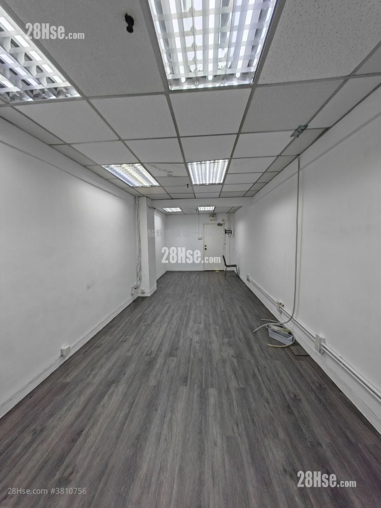 金时商业大厦 租盘 开放式间隔