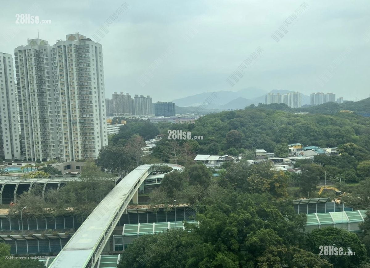 碧湖花园 售盘 2 房 400 平方尺