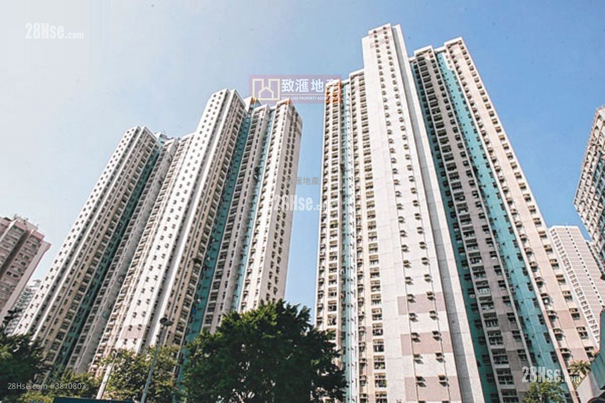 葵俊苑 售盤 3 房 554 平方呎