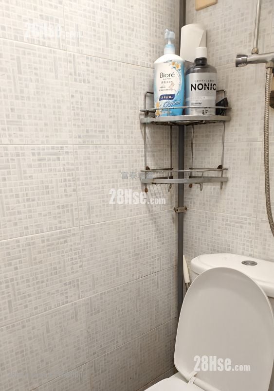 单幢楼房 租盘 开放式间隔 , 1 浴室 160 平方尺