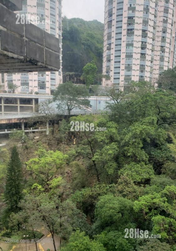 The Jolly House Rental 1 Bedroom , 1 Bathroom 242 ft²