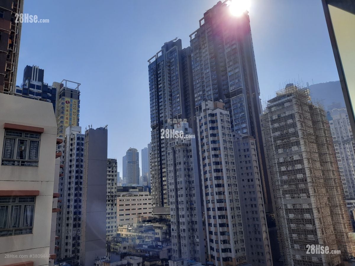 瑧蓺 租盘 1 房 , 1 浴室 339 平方尺