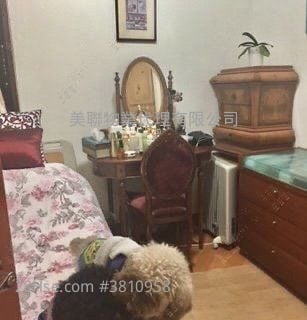 皇府山 售盘 3 房 618 平方尺