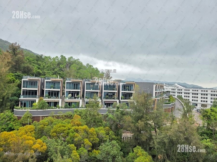 满名山 租盘 1,274 平方尺