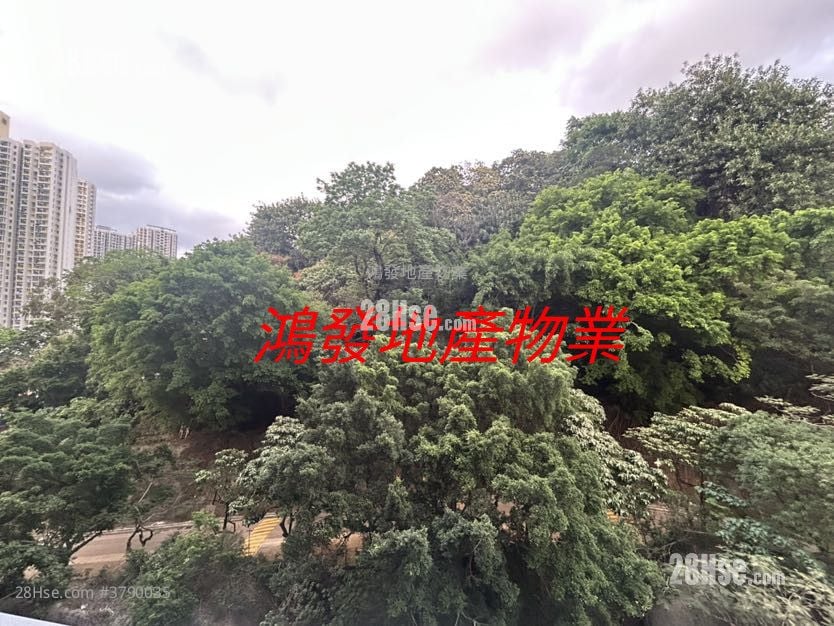 晓柏峰 租盘 1 房 , 1 浴室 247 平方尺