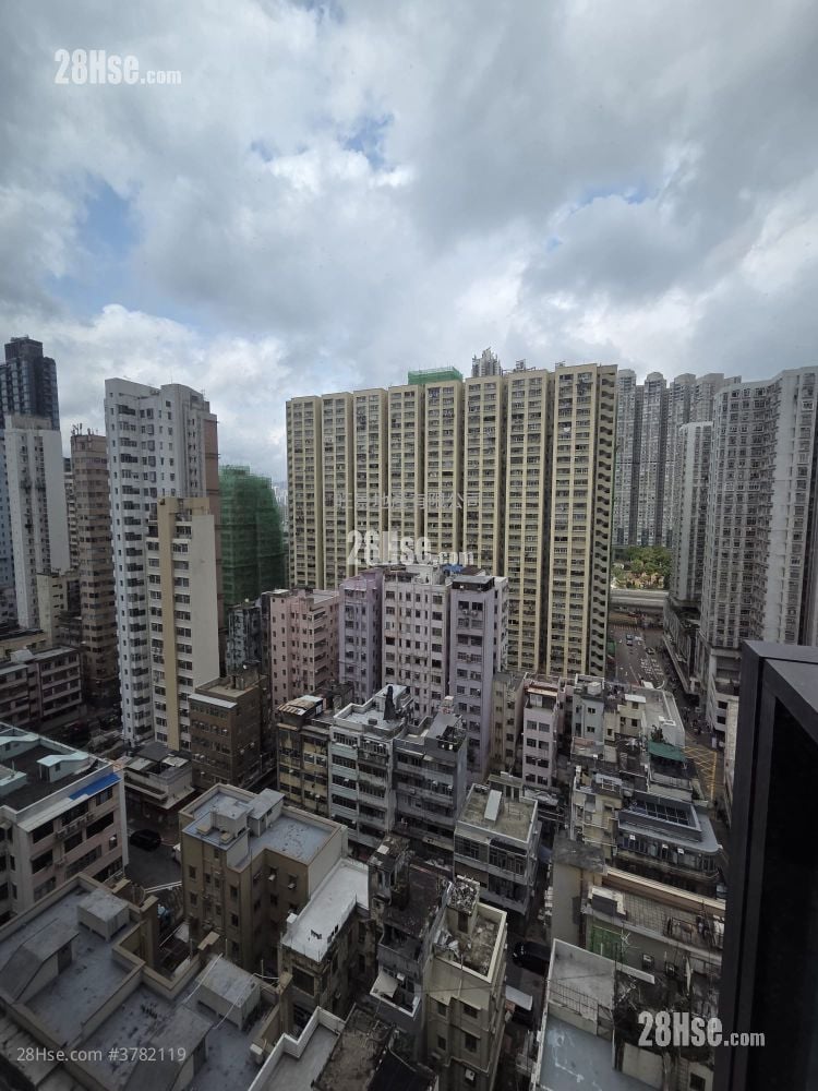 柏汇 售盘 开放式间隔 211 平方尺