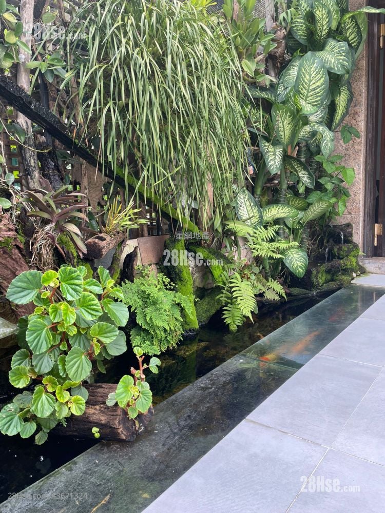 村屋 售盘 1,470 平方尺