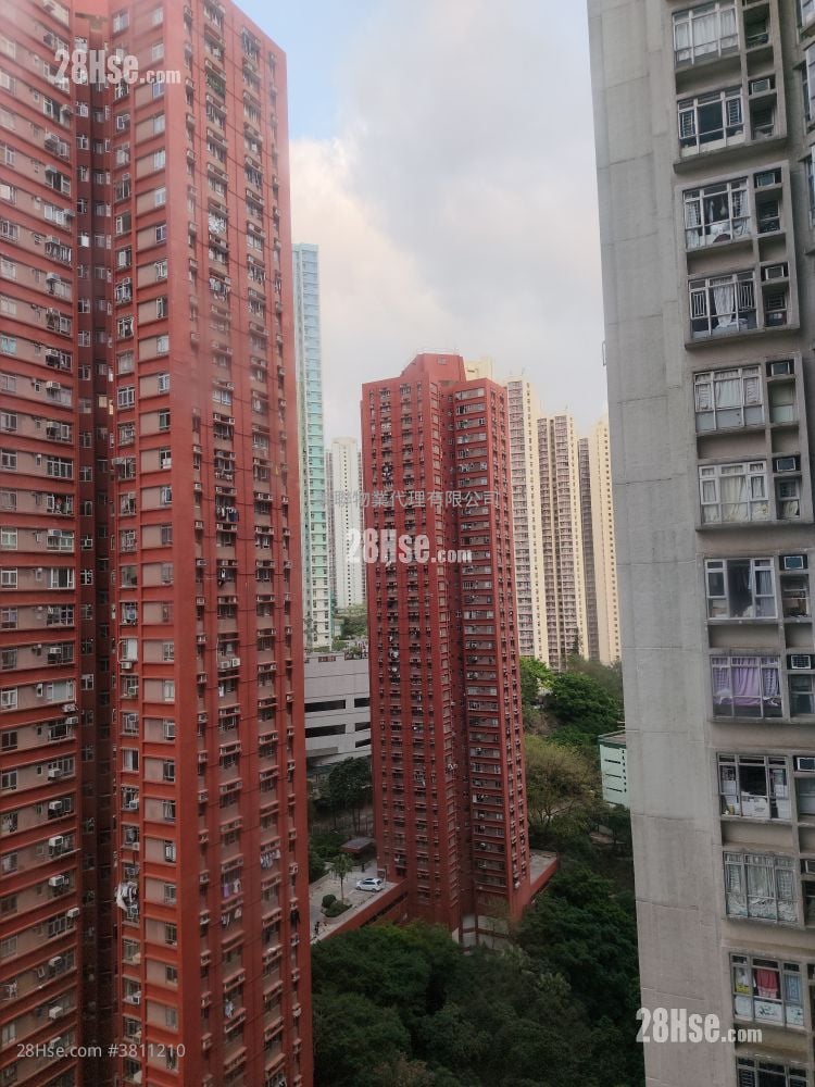 汇景花园 租盘 2 房 , 1 浴室 537 平方尺