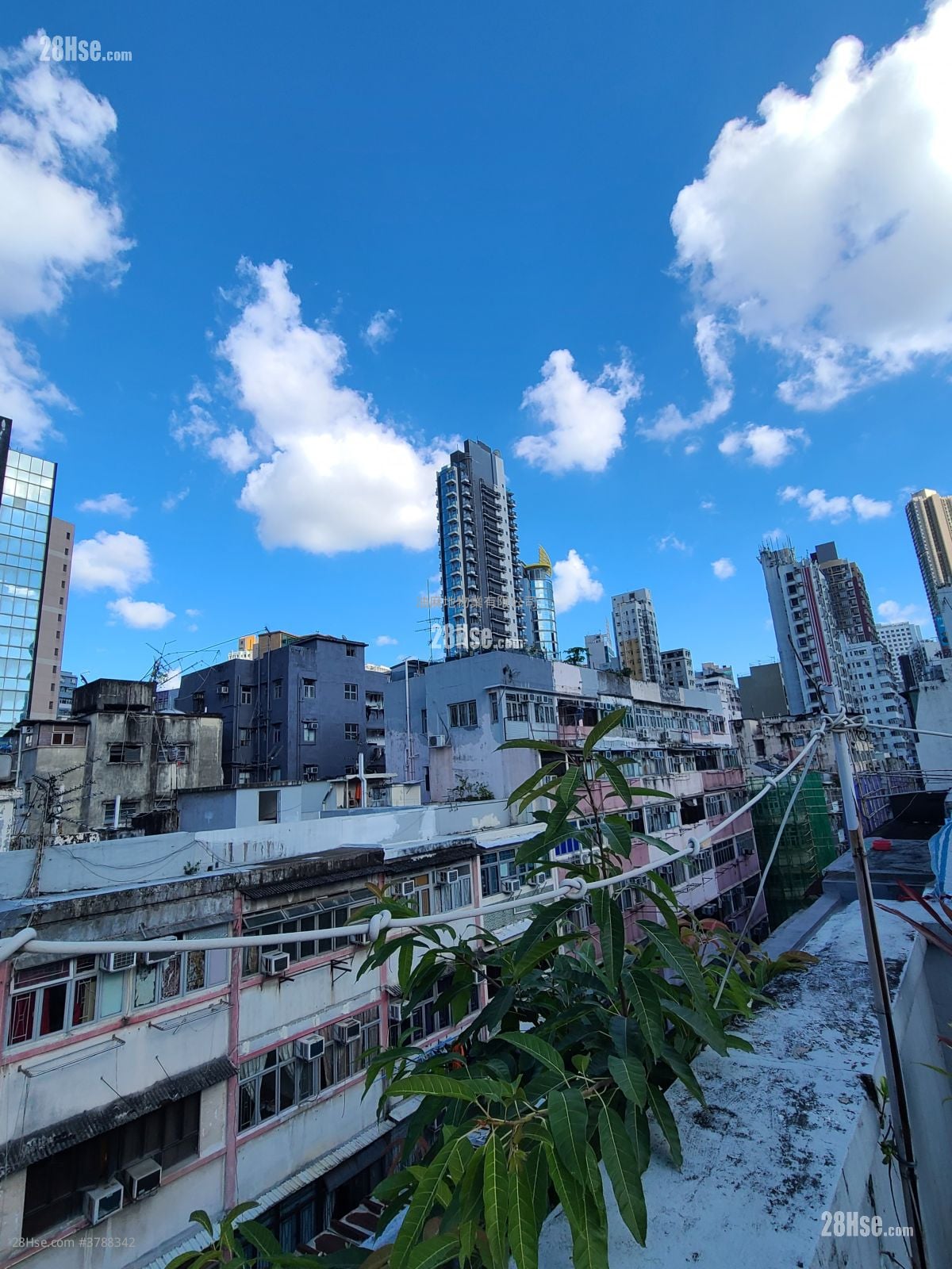 唐楼 售盘 2 房 , 1 浴室 328 平方尺