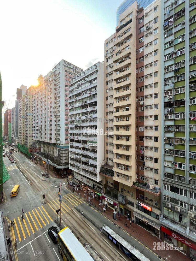 Roca Centre Rental 3 Bedrooms , 1 Bathroom 551 ft²