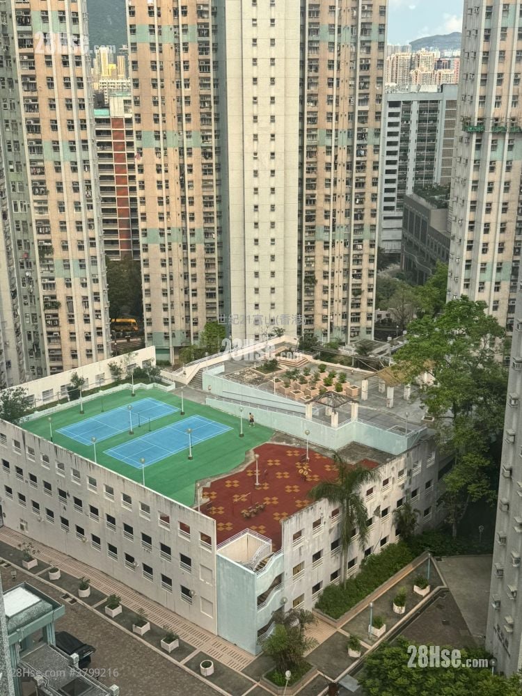 富强苑 售盘 3 房 , 1 浴室 577 平方尺