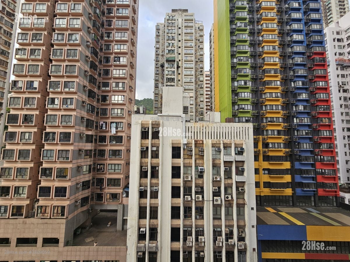 幸荟 租盘 2 房 , 1 浴室 309 平方尺