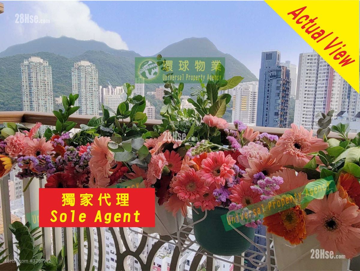 泓都 租盘 2 房 , 1 浴室 471 平方尺