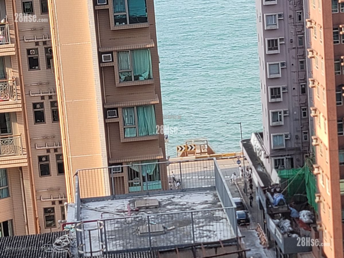 金豪閣 租盤 1 房 , 1 浴室 244 平方呎