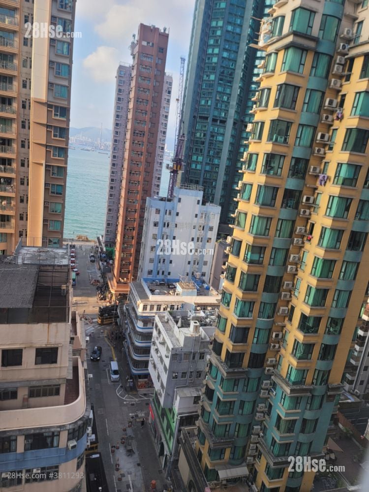 金豪閣 租盤 1 房 , 1 浴室 244 平方呎