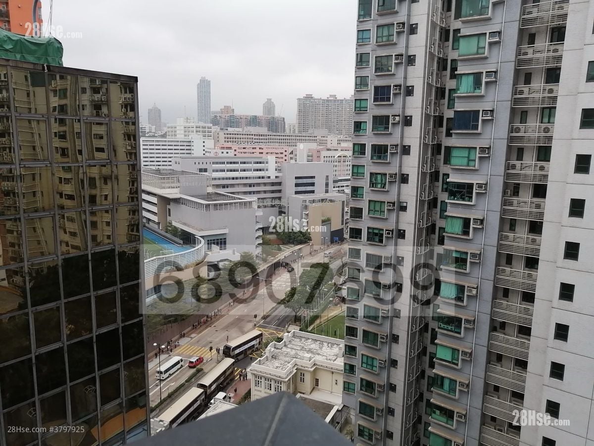 德成轩 租盘 2 房 , 1 浴室 429 平方尺