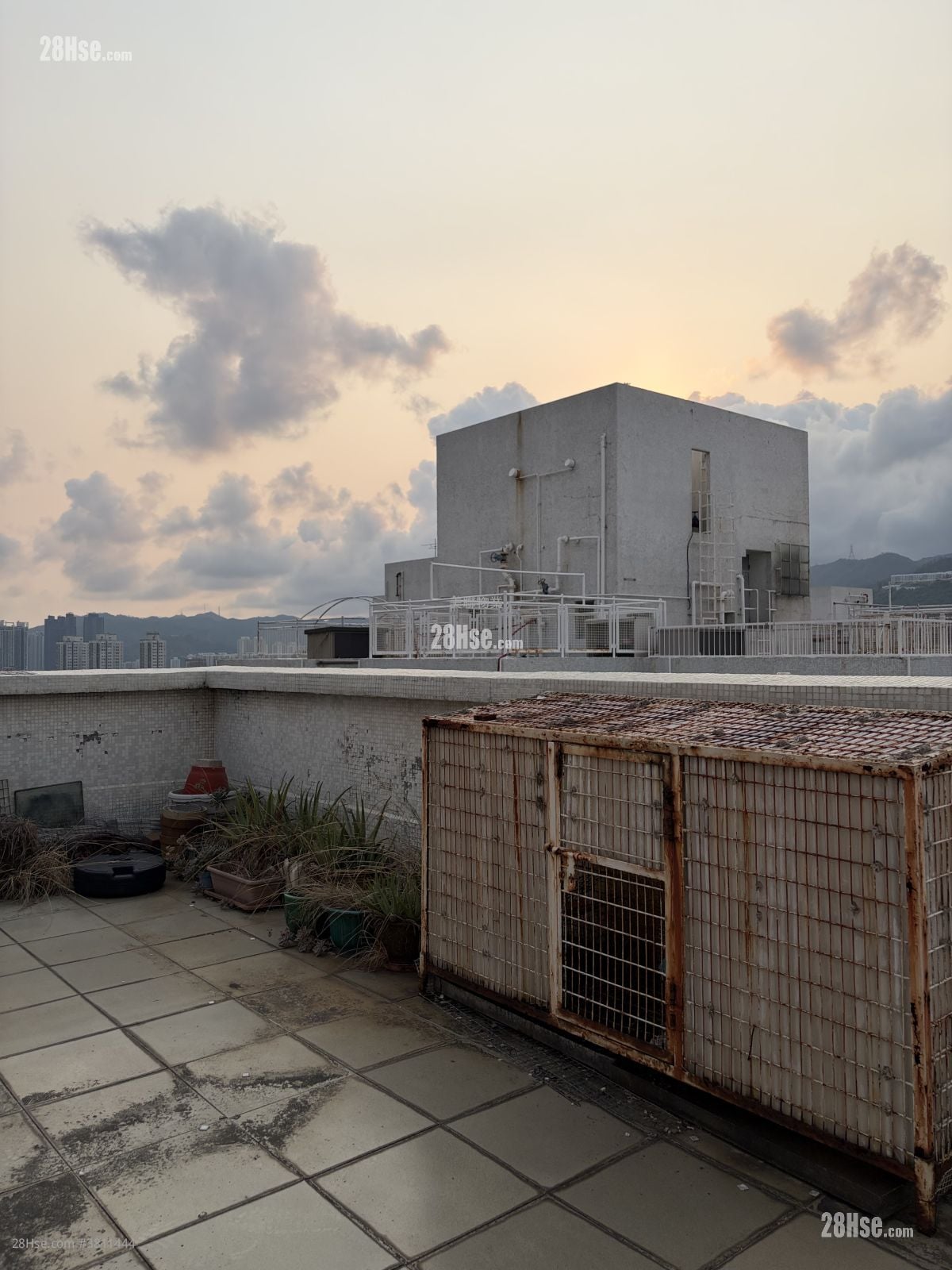 沙田第一城 租盤 2 房 , 1 浴室 304 平方呎