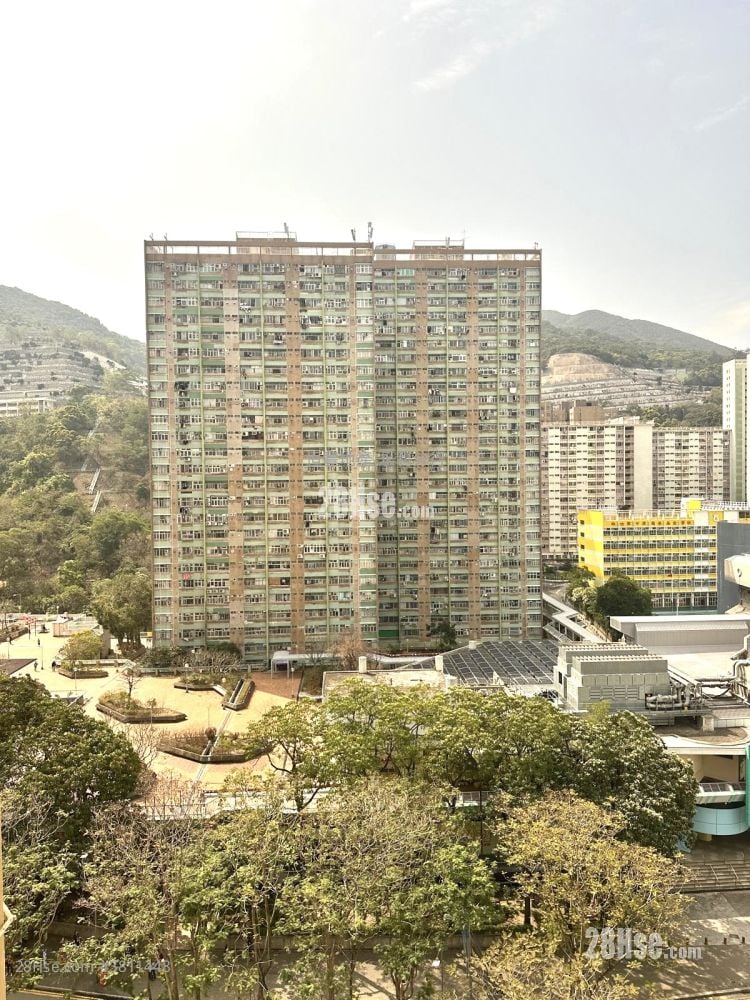 永利中心 租盘 2 房 , 1 浴室 264 平方尺