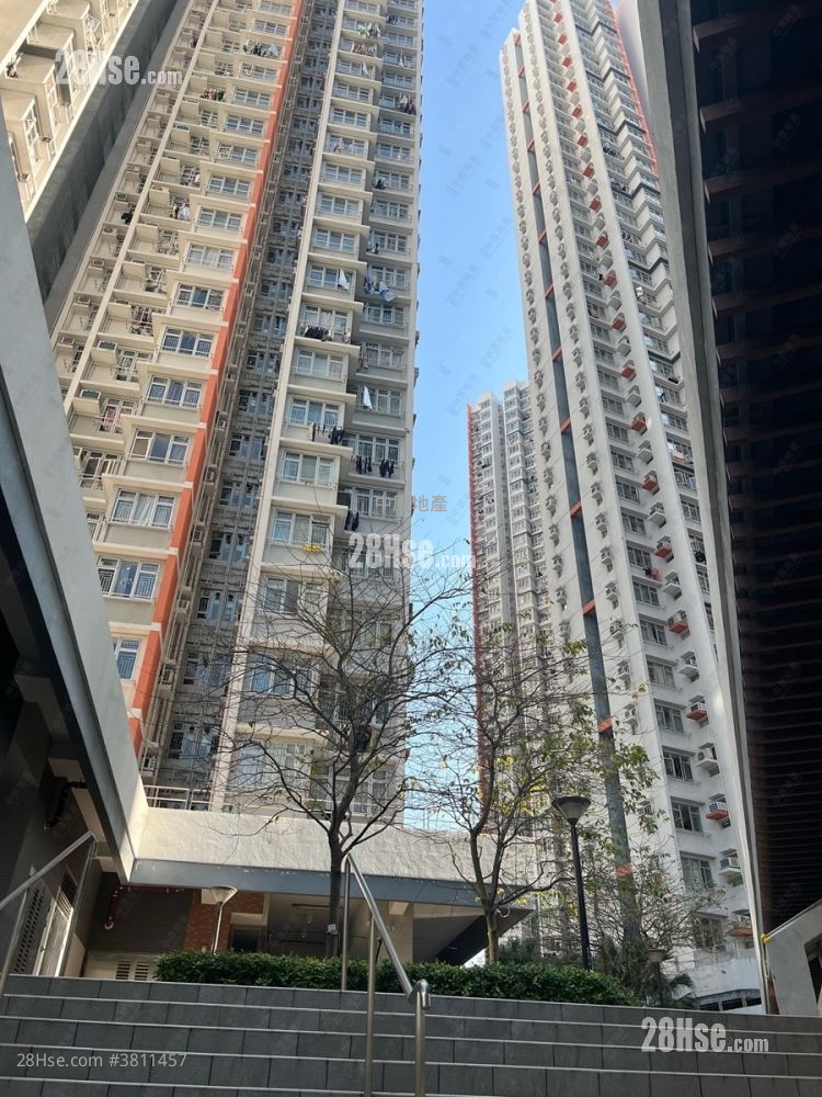 凯乐苑 售盘 2 房 477 平方尺