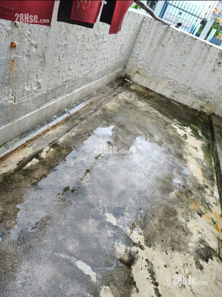 明泰大樓 售盤 2 房 , 2 浴室 313 平方呎