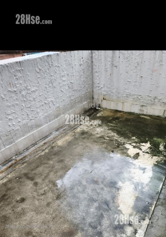 明泰大樓 售盤 2 房 , 2 浴室 313 平方呎