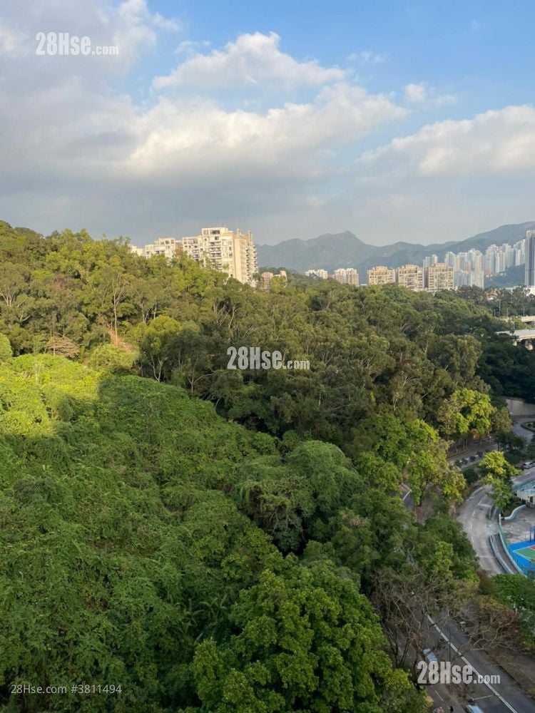 美松苑 租盤 3 房 , 1 浴室 554 平方呎