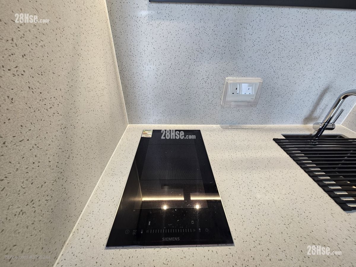 The Paddington Rental 2 Bedrooms , 1 Bathroom 387 ft²