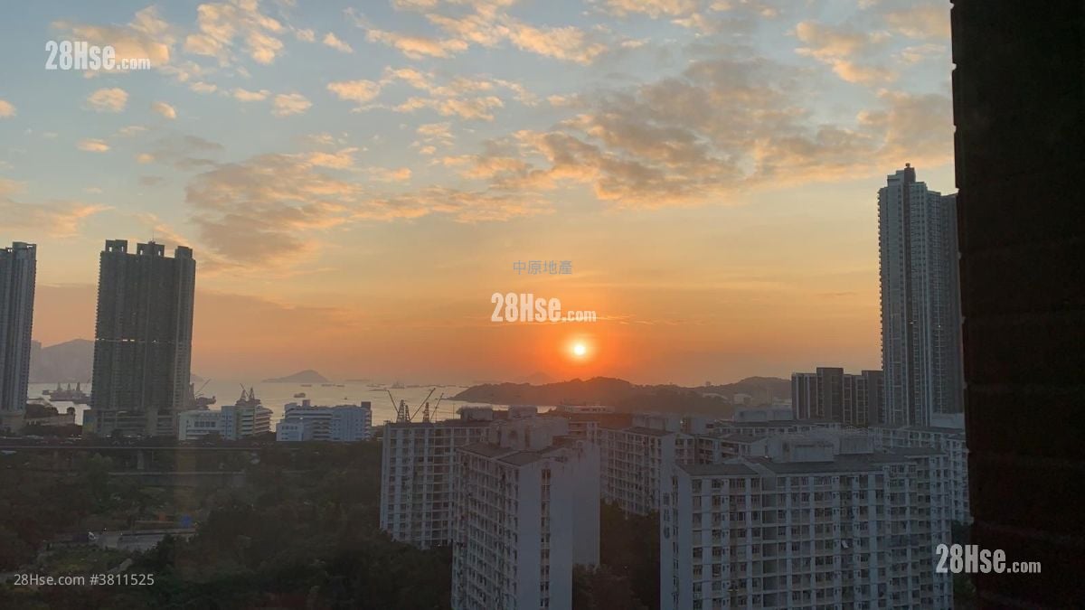 海柏汇 售盘 1 房 275 平方尺