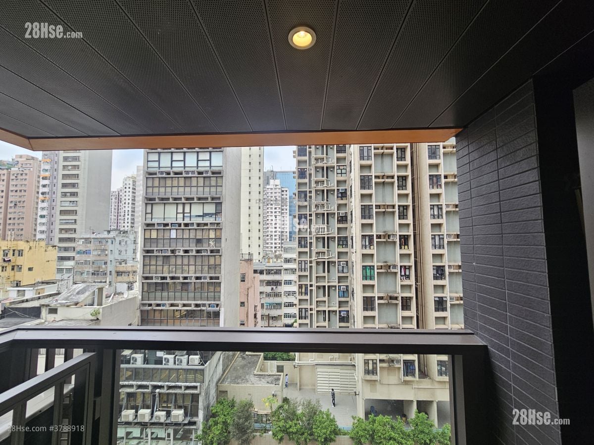 Bright Moon Rental 1 Bedroom , 1 Bathroom 304 ft²