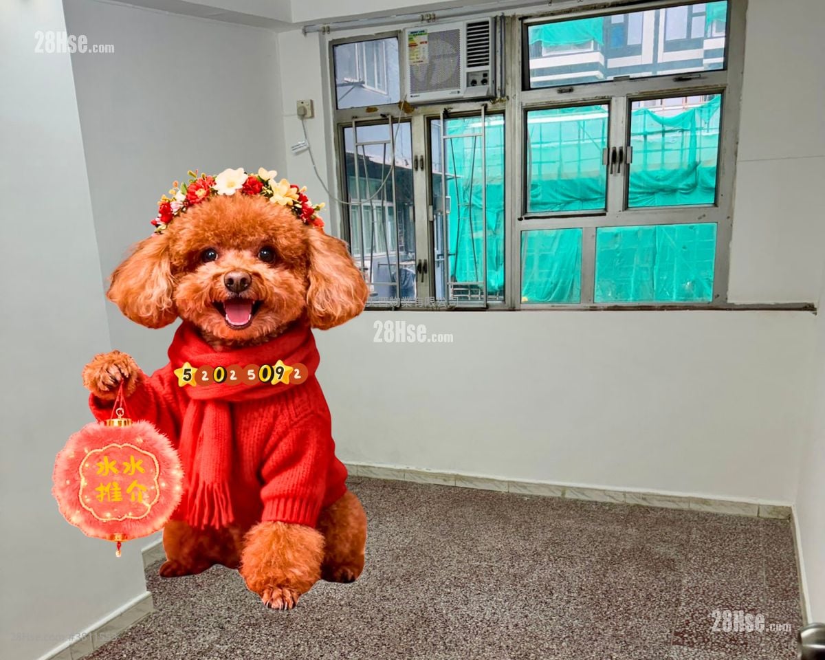 黄埔唐楼 售盘 2 房 , 1 浴室 423 平方尺