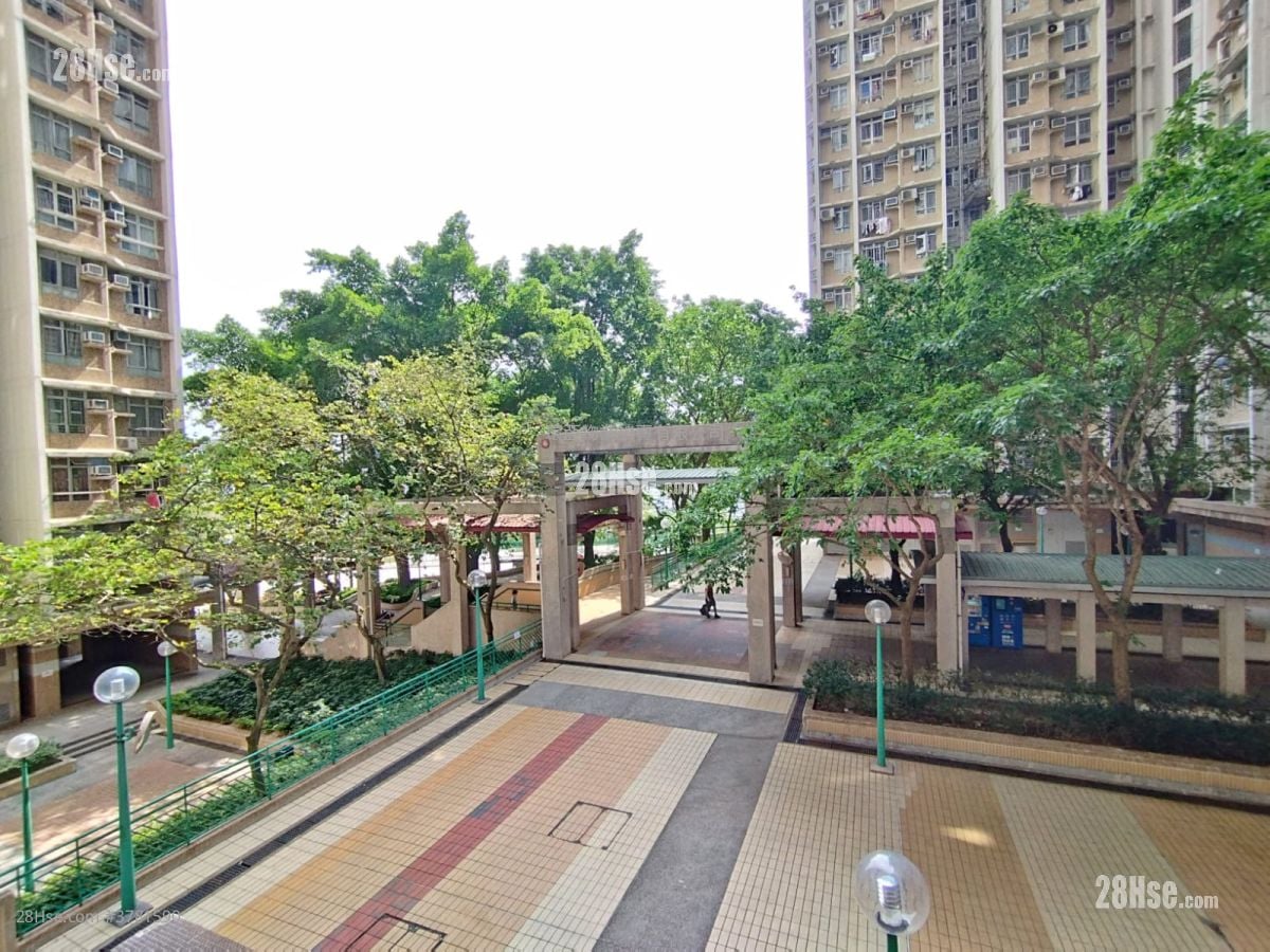 Hiu Lai Court Sell 3 Bedrooms , 1 Bathroom 604 ft²