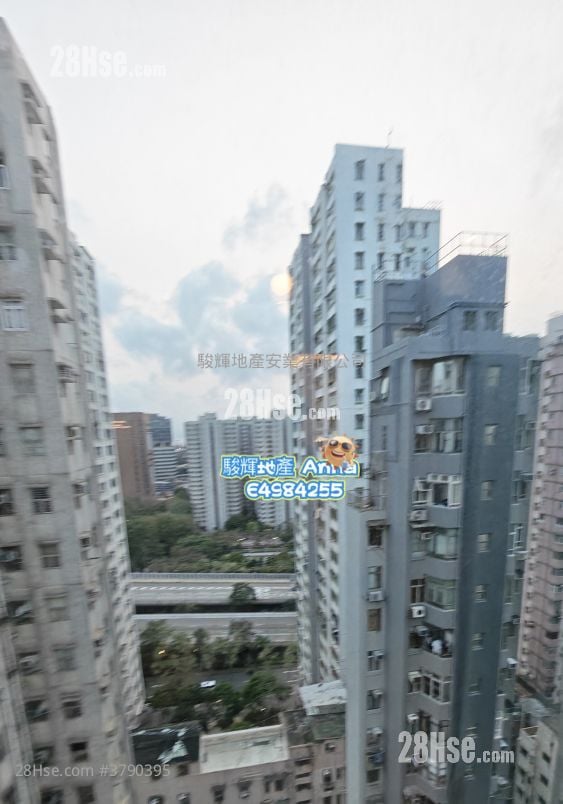 Shun On Building Rental 1 Bedroom , 1 Bathroom 321 ft²