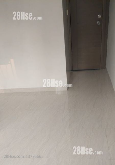 新填地街23号 租盘 1 房 , 1 浴室 330 平方尺