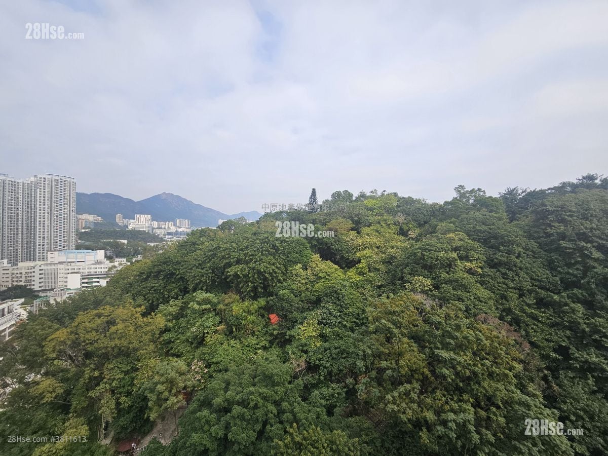 曉柏峰 租盤 3 房 , 2 浴室 499 平方呎